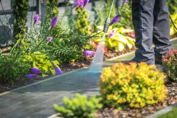 Professional Pressure Washing Services in Miami, OK